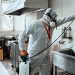 Illustration de l'article "Comment gérer efficacement la lutte contre les nuisibles dans votre PMS "