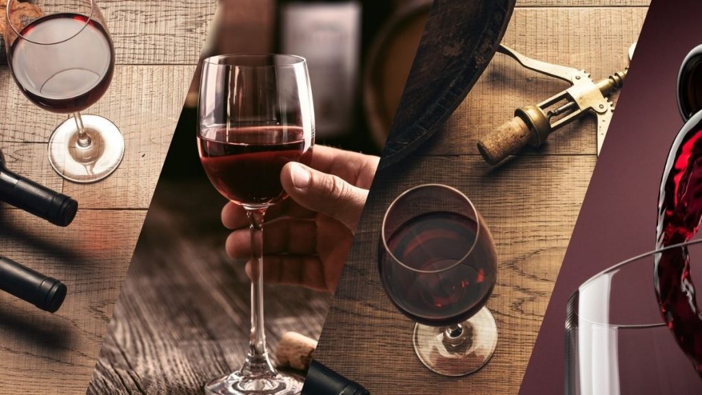 L'image à la Une de la formation Œnologie / Sommellerie