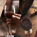 L'image à la Une de la formation Œnologie / Sommellerie